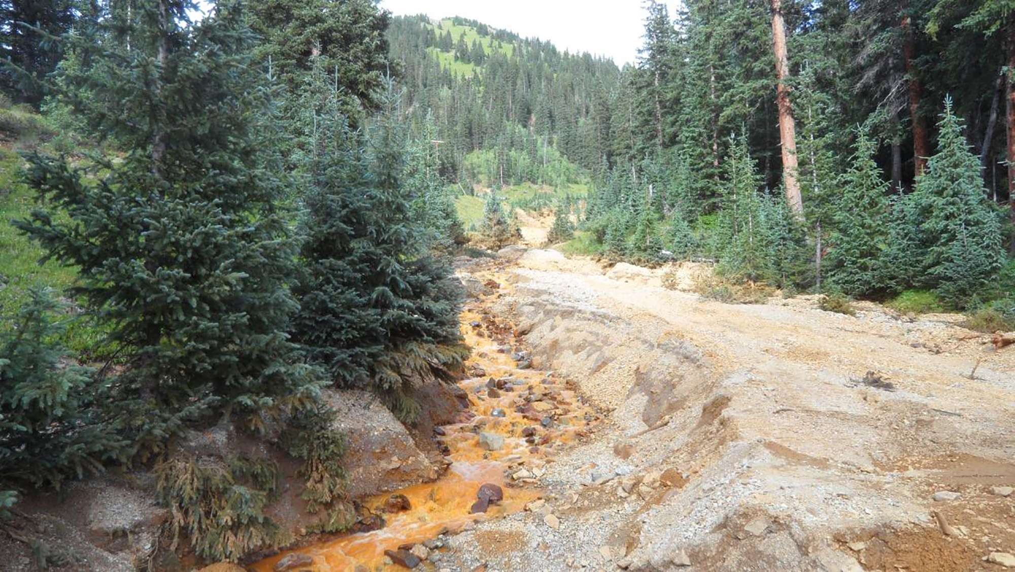 Animas River Mine Spill