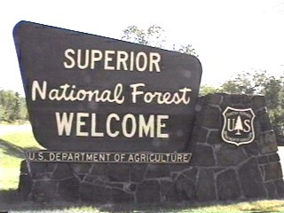 Superior National Forest